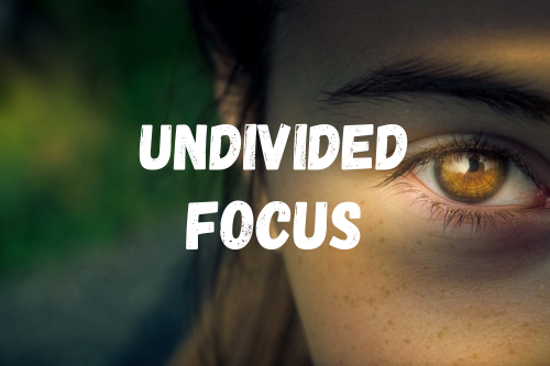 Undivided Focus